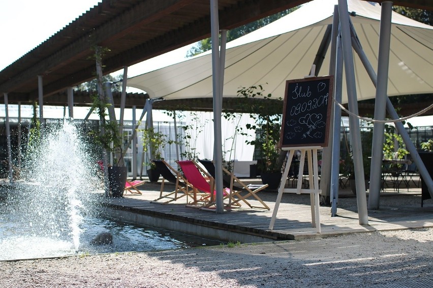 Storczykarnia Cafe Jazz Bar - alternatywna forma odpoczynku w najpiękniejszym parku na Podkarpaciu!