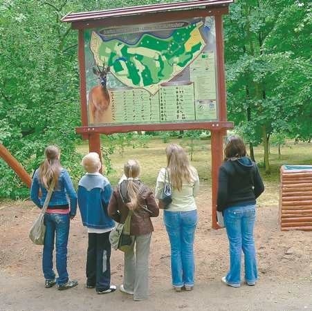 Do parku prowadzi dziś stylowa brama. Ścieżka dydaktyczna została oznakowana na czerwono, a głazy z kolejnymi numerami wskazują miejsca, w których warto na chwilę się zatrzymać.