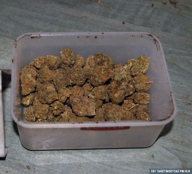 U 32-latka z powiatu opatowskiego znaleziono znaczne ilości narkotyków.