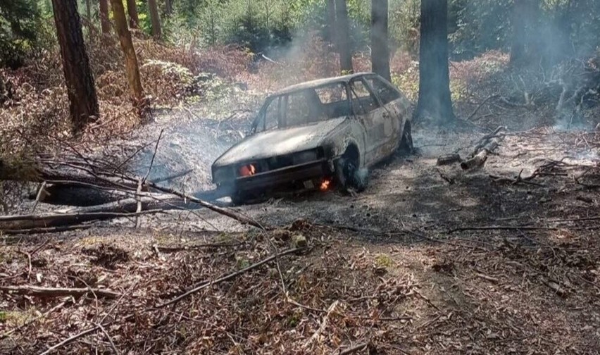 Pożar auta w lesie