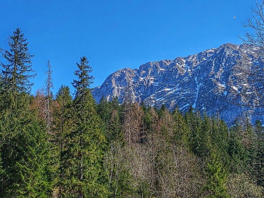 Tatry. Zobacz jak wygląda Dolina Strążyska po kwarantannie. To tam możemy legalnie wejść 