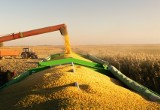 Radni województwa mazowieckiego apelują w sprawie trudnej sytuacji branży rolno-spożywczej