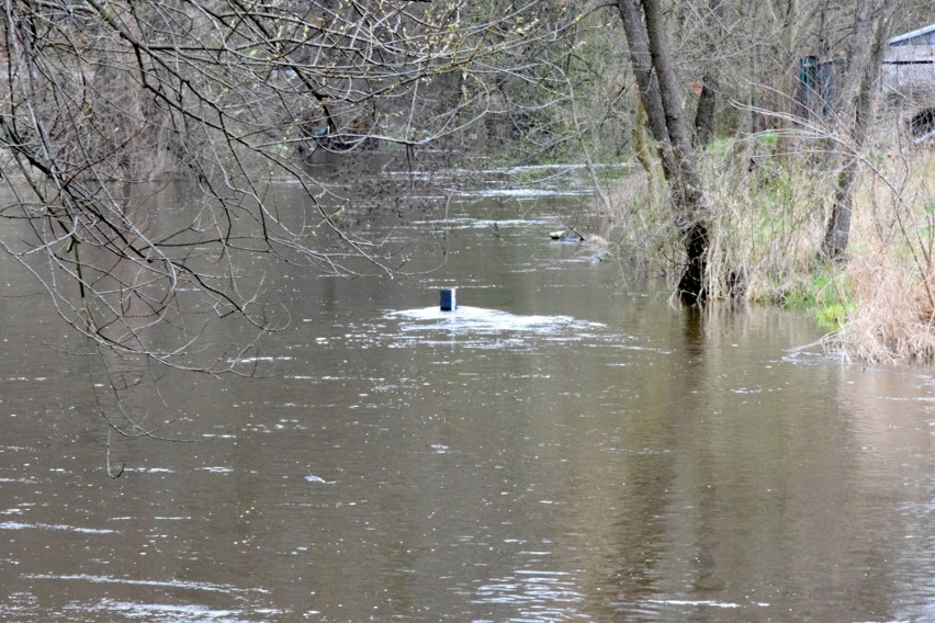 Stany ostrzegawcze na dwóch rzekach w powiecie kieleckim i Kielcach. Będą podtopienia?