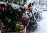 Pogoda na Wielkanoc 2018: Jakie będą Święta Wielkanocne? Czy znów będziemy lepić śnieżne pisanki? Śnieg w święta jest możliwy 21.3.2018