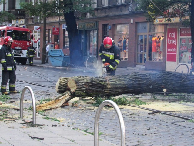 Zniszczenia po nawałnicy na Kraszewskiego. Strażacy usuwali drzewo - było niebezpiecznie