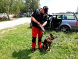 Ciało zaginionej kobiety z Zelkowa znalazł pies tropiący z Grupy Poszukiwawczo-Ratowniczej OSP Goszcza