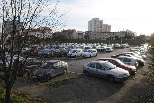 Tak przez większość dnia wygląda parking przy palmiarni w Zielonej Górze.