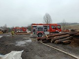Pożar w tartaku w Trzyciążu w powiecie olkuskim. Ogień wybuchł w hali produkcyjnej zakładu. Zdjęcia
