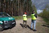 W lesie pod Bydgoszczą znaleziono "niezidentyfikowany obiekt wojskowy". Trwają poszukiwania szczątków pocisku [zdjęcia - 27.04.2023]
