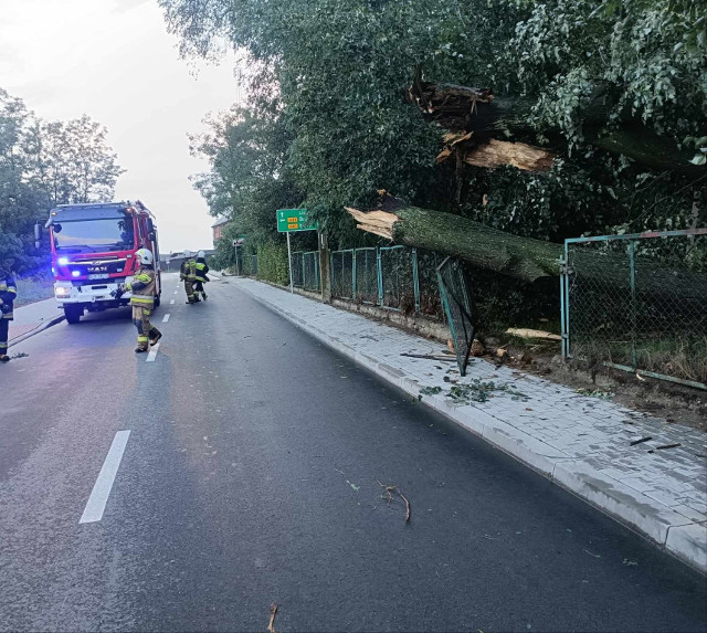 Upały, silny wiatr i burze w województwie podlaskim. Strażacy interweniowali 248 razy z powodu pogody!