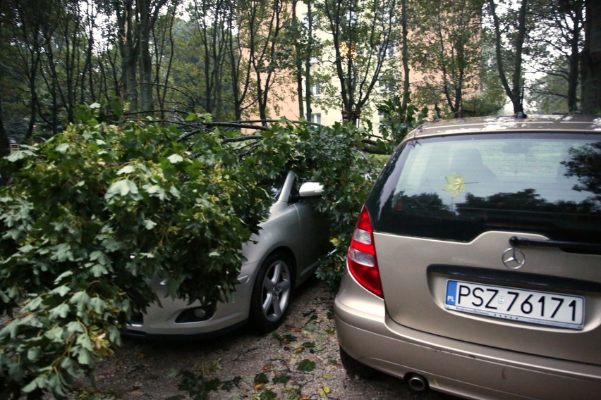 Pogodowy armagedon w Lublinie i okolicach. Strażacy cały czas pracują, aby drogi były przejezdne. Zobacz