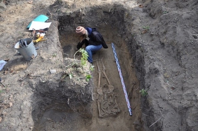 Grób bada Monika Bajka, archeolog z Muzeum Okręgowego w Sandomierzu.