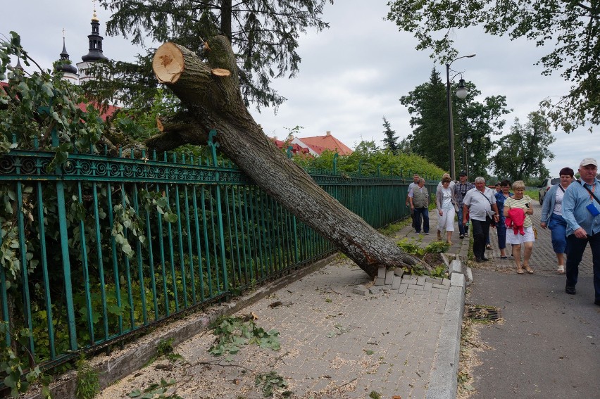 Powyrywane z korzeniami drzewa. Tak wyglądał miejski park po...