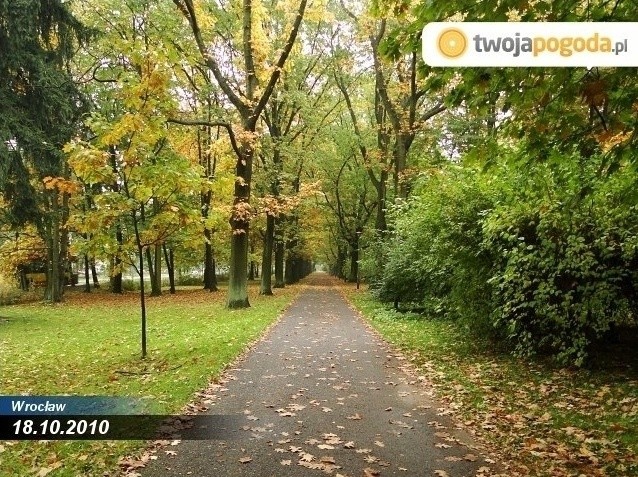Jesień w parku we Wrocławiu rok po roku. Zobacz zdjęcia!