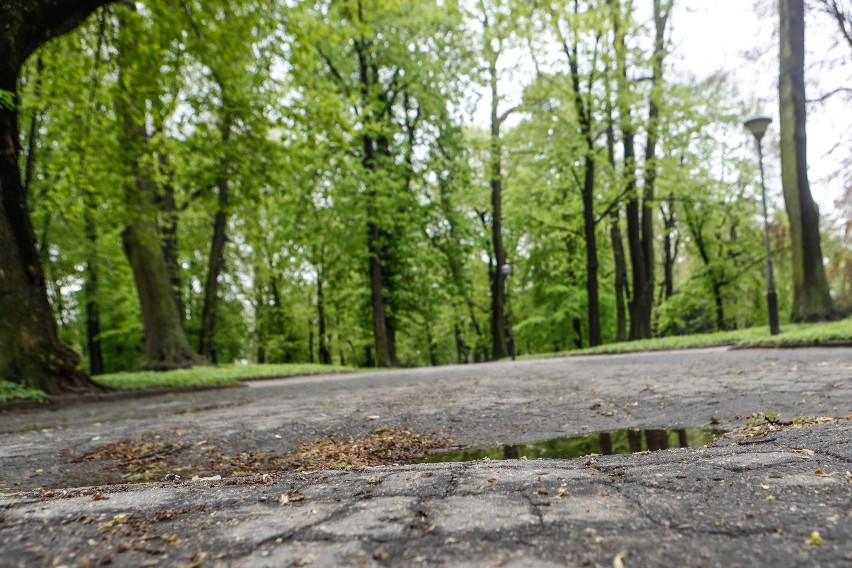 Park przy ul. Dąbrowskiego w Rzeszowie od lat wymaga...