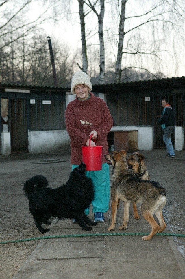 - Niemcy nie tylko zabierają zwierzęta. Przywożą karmę, koce, dają pieniądze - mówi prowadząca świnoujskie schronisko Irena Olszewska.