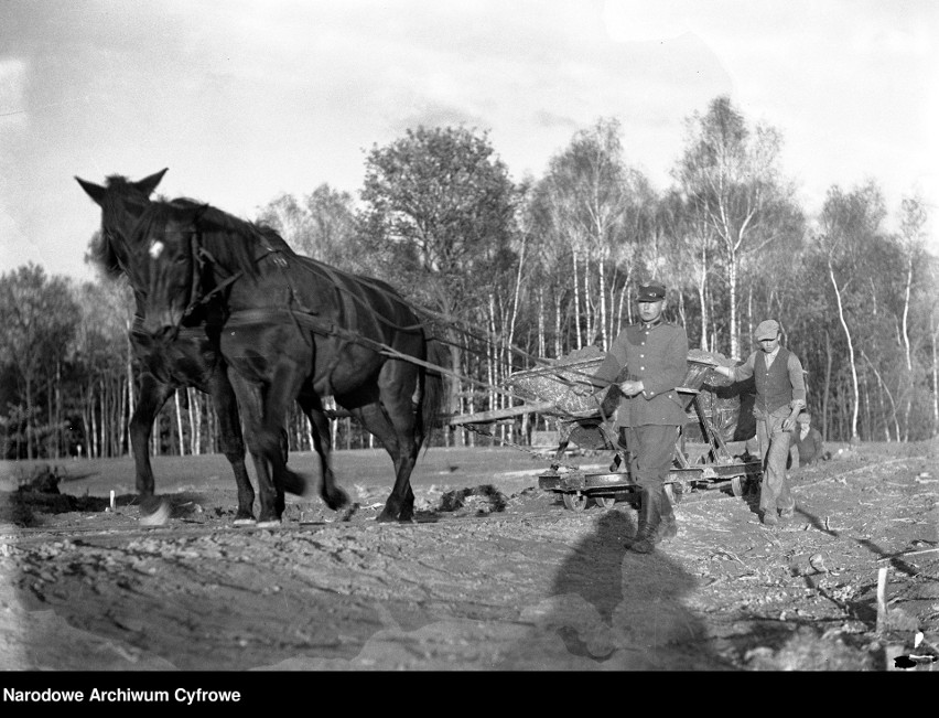 Kopiec wzniesiono w latach 1934-1937 przy czynnym udziale...