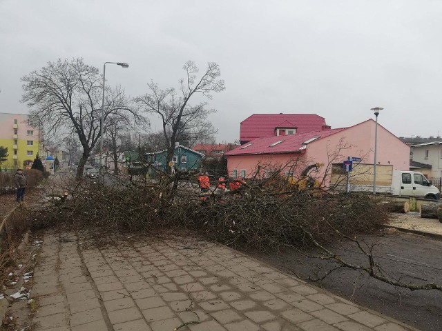 Do końca lutego musi zakończyć się wycinka drzew i krzewów, które kolidują z planowaną rozbudową drogi wojewódzkiej 203 od granic województwa do mostu na Słupi w Ustce.