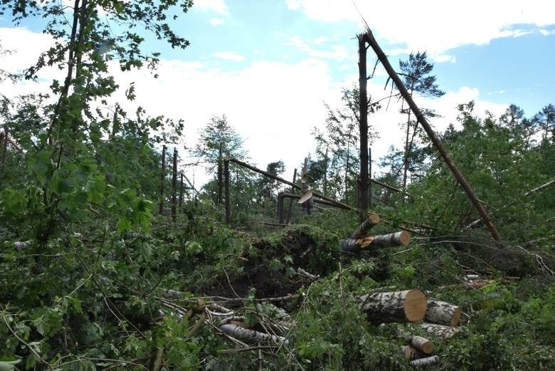 Trąba powietrzna przeszła nad Złocieńcem. Minął rok od katastrofy [archiwalne zdjęcia, wideo]