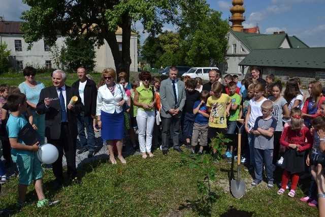 Cysterskie drzewo posadził burmistrz Koprzywnicy Marek Jońca.