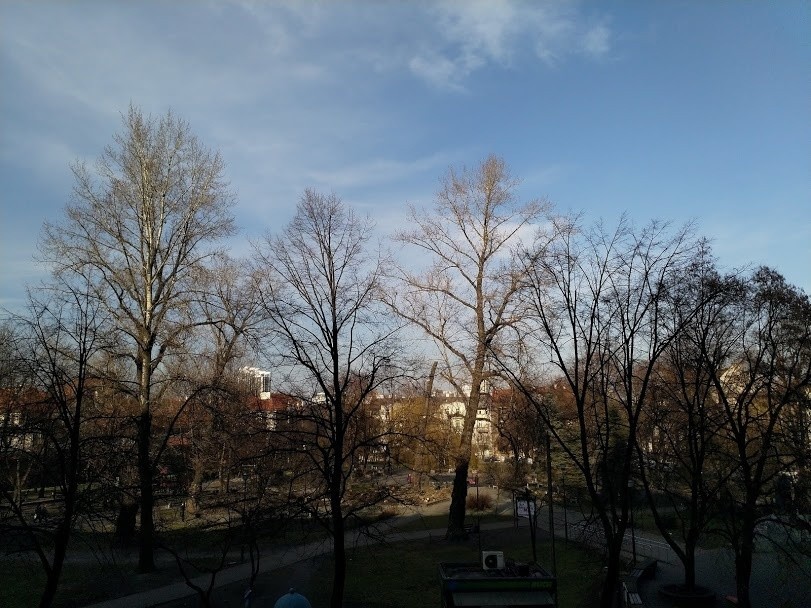 Wycinka drzew na placu Andrzeja w Katowicach ZDJĘCIA Internauci nie kryją oburzenia