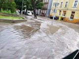 Gorzów będzie bardziej dbał o klimat? W mieście może być o 10 stopni cieplej niż na wsi