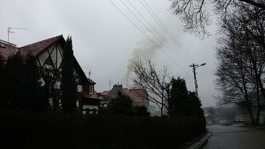 Zabrze ma sposób na smog? Testuje ekologiczny, bezdymny węgiel [ZDJĘCIA]