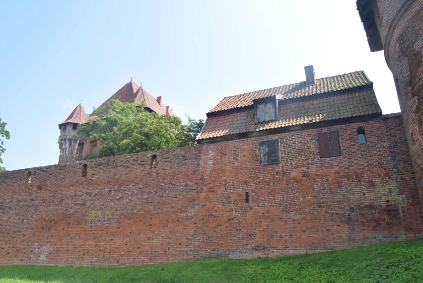 Wykopaliska na zamku w Malborku z bardzo ciekawym odkryciem. Fragment muru odbudowano w złym miejscu!