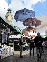 Ożywiają Wildę. Piknik pod parasolem - idź i baw się dobrze 