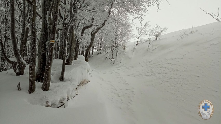 Trudne warunki do uprawiania turystyki w Bieszczadach. Śnieg na szlakach sięga po pas [ZDJĘCIA]