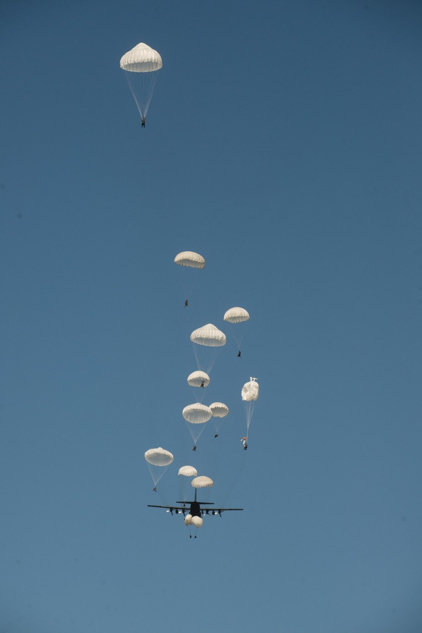 Anakonda 2016