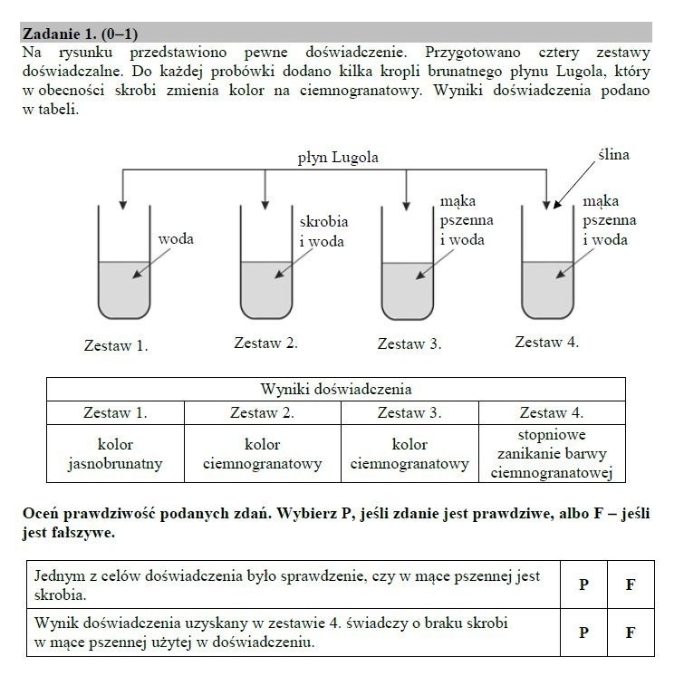 Egzamin gimnazjalny 2019 - WYNIKI OKE. Kiedy i o której? Jak...