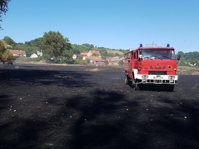 Pożar w okolicach miejscowości Chyże w gminie Krosno Odrzańskie.