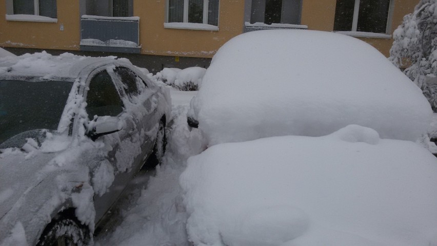 Paraliż drogowy w woj. śląskim. Pada śnieg i wieje porywisty...