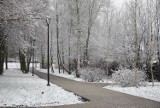 Pierwszy śnieg zachwycił mieszkańców Kraśnika. Zrobiło się bajkowo! Zobacz zdjęcia