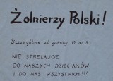 Od Bitwy Warszawskiej do Hradec Kralove pod polską okupacją.  Komentarz