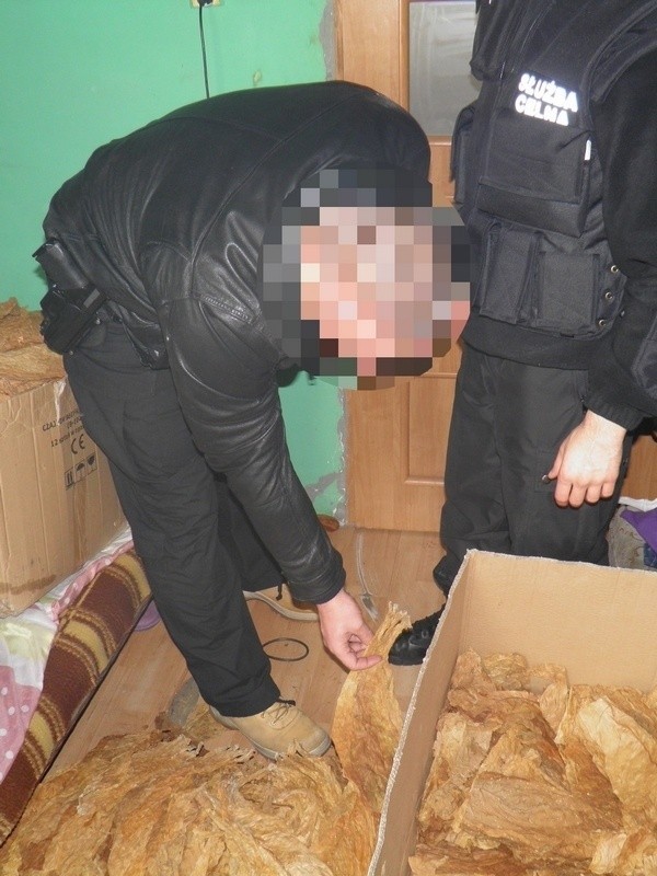 Policjanci zabezpieczyli 36 kg tytoniu w Lęborku.