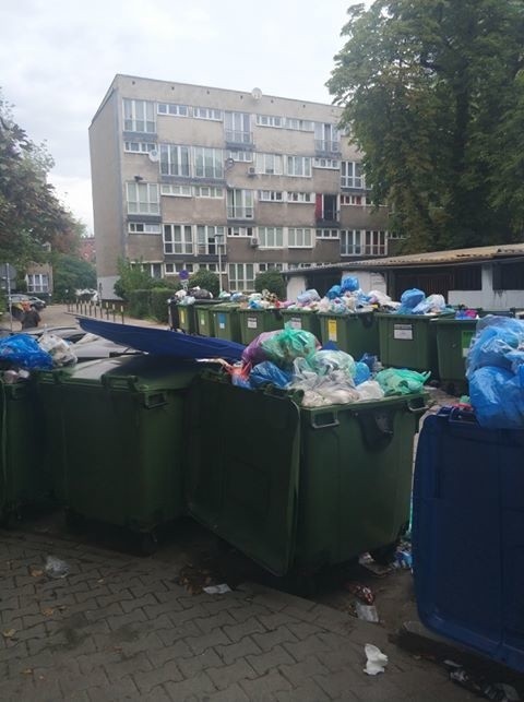 Piętrzące się śmieci szpecą ulice i podwórka Wrocławia. W...