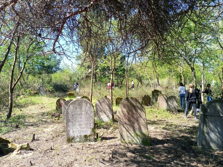 Liczni wolontariusze posprzątali cmentarz żydowski w...