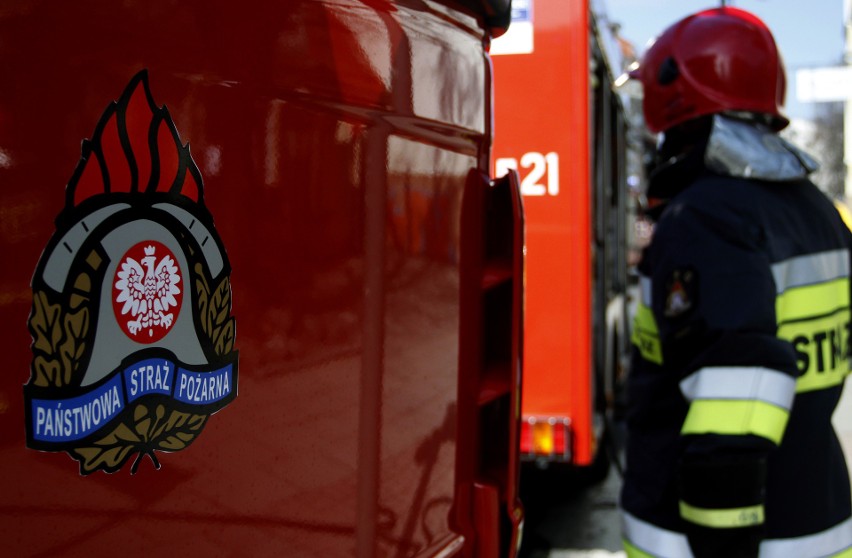 Strażacy Podkarpacia | Zobacz galerię zgłoszonych Strażaków Zawodowych