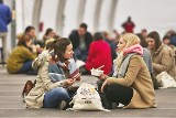 Taizé we Wrocławiu: pielgrzymi zjedli tony ruskich pierogów