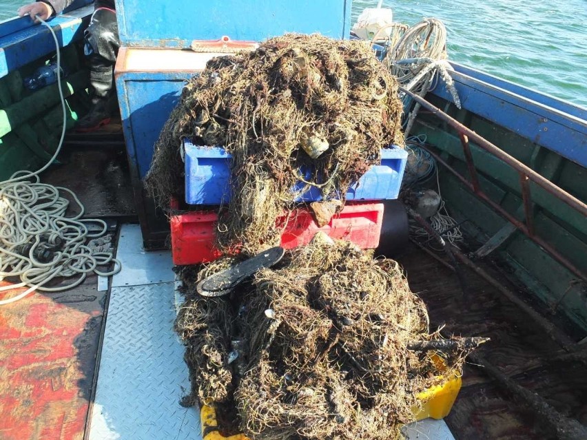 Wyłowiono 147 ton śmieci z morza. To efekt akcji "Czysty Bałtyk". Znaleziono uwięzioną w pułapce, martwą fokę [zdjęcia, wideo]
