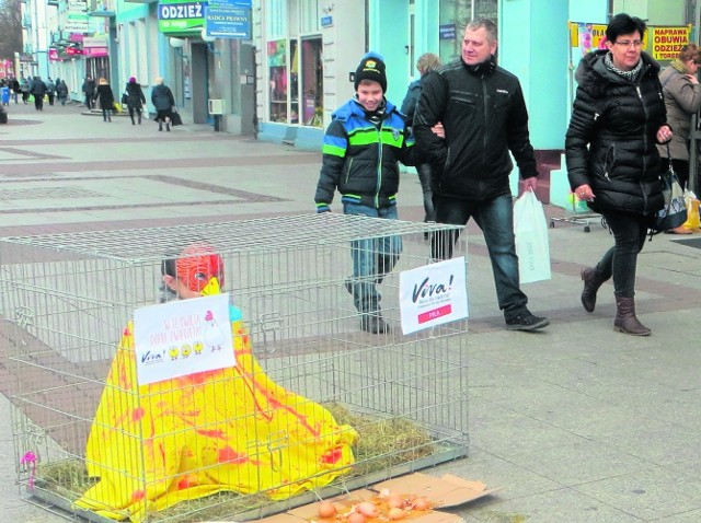 Piła: Bojkot jaj od kur z chowu klatkowego 