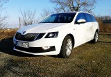 Skoda Octavia Combi 1.0 TSI. Test kompaktu z trzycylindrowym silnikiem i skrzynią DSG