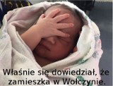 Wołczyn Sosnowcem Opolszczyzny. Czy miasto na północy Opolszczyzny jest naprawdę miastem-memem?