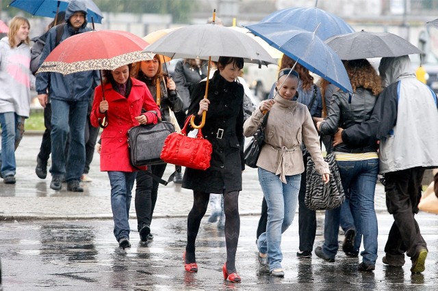 We Wrocławiu i regionie w środę i czwartek spodziewane są spore opady deszczu