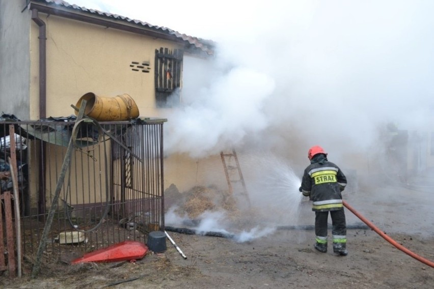 Pożar w Polnicy wybuchł 5.12.2014.