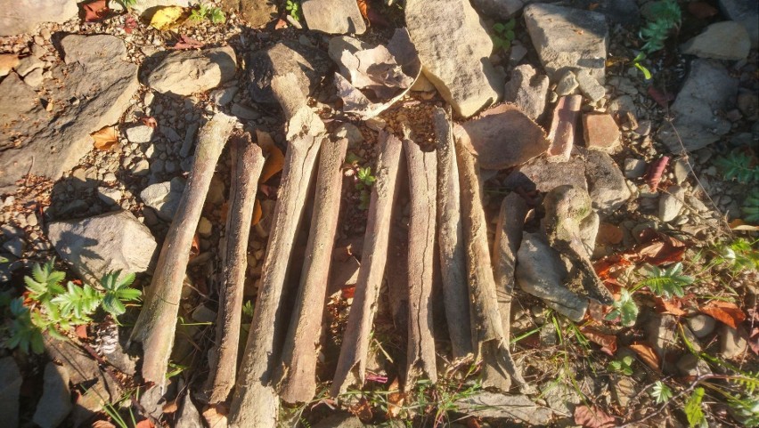 ludzkie kości z Jeziora Solińskiego