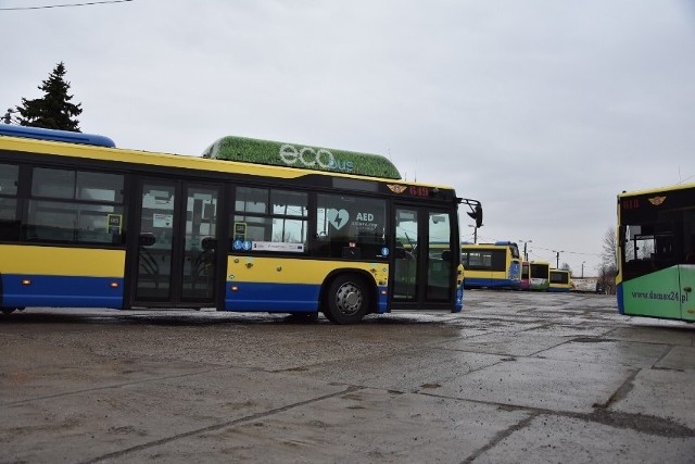 Jednym z autobusów MPK w Tarnowie kierował 19-latek bez uprawnień
