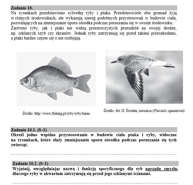 Matura 2016: BIOLOGIA nowa i stara matura (ARKUSZE CKE, ODPOWIEDZI)